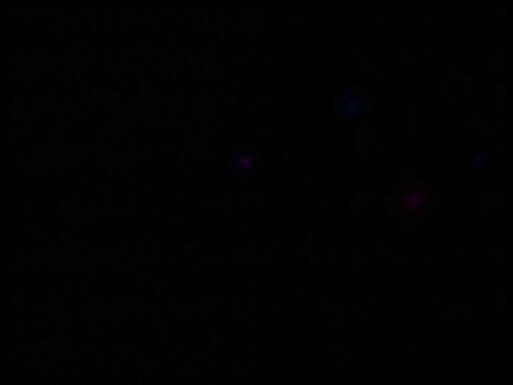 Professional Cinema Equipment